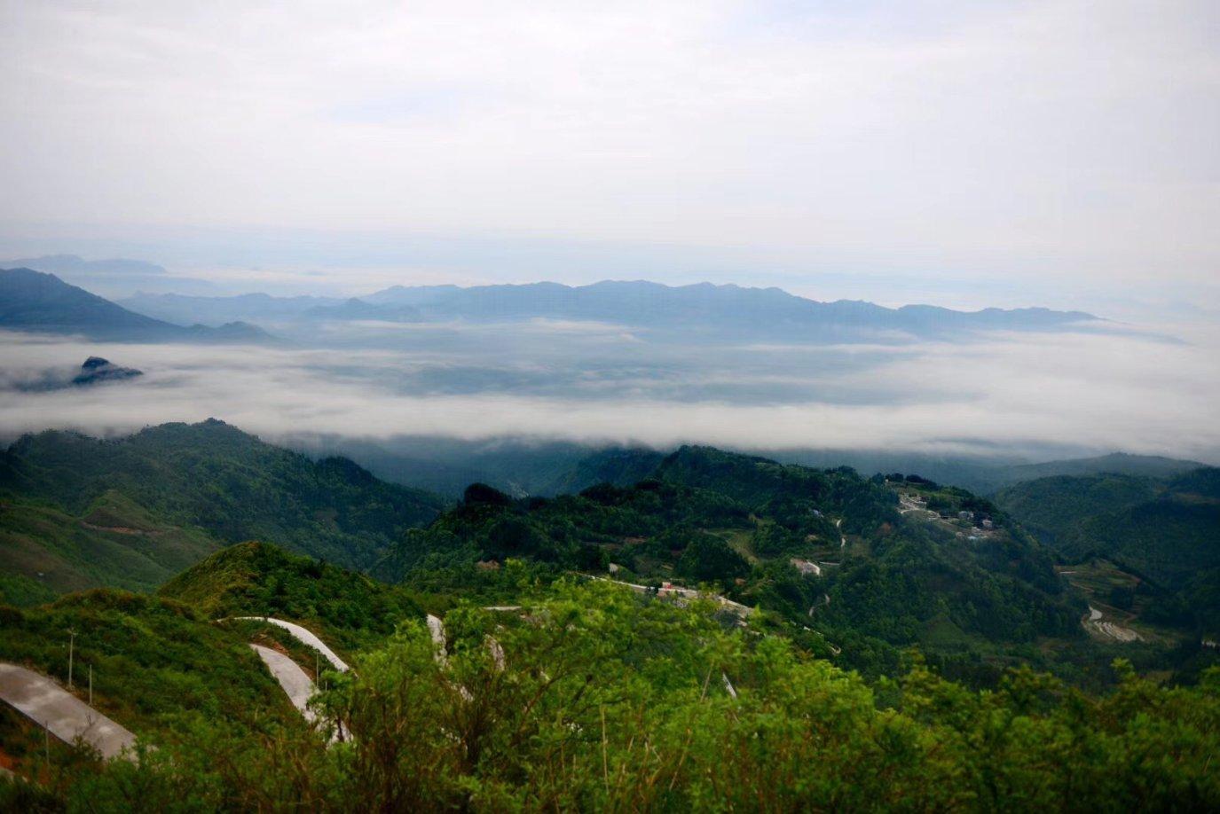 这一次豪门排场,郭晶晶没缺席!只是“贵妇天团”怎么不敢比了?